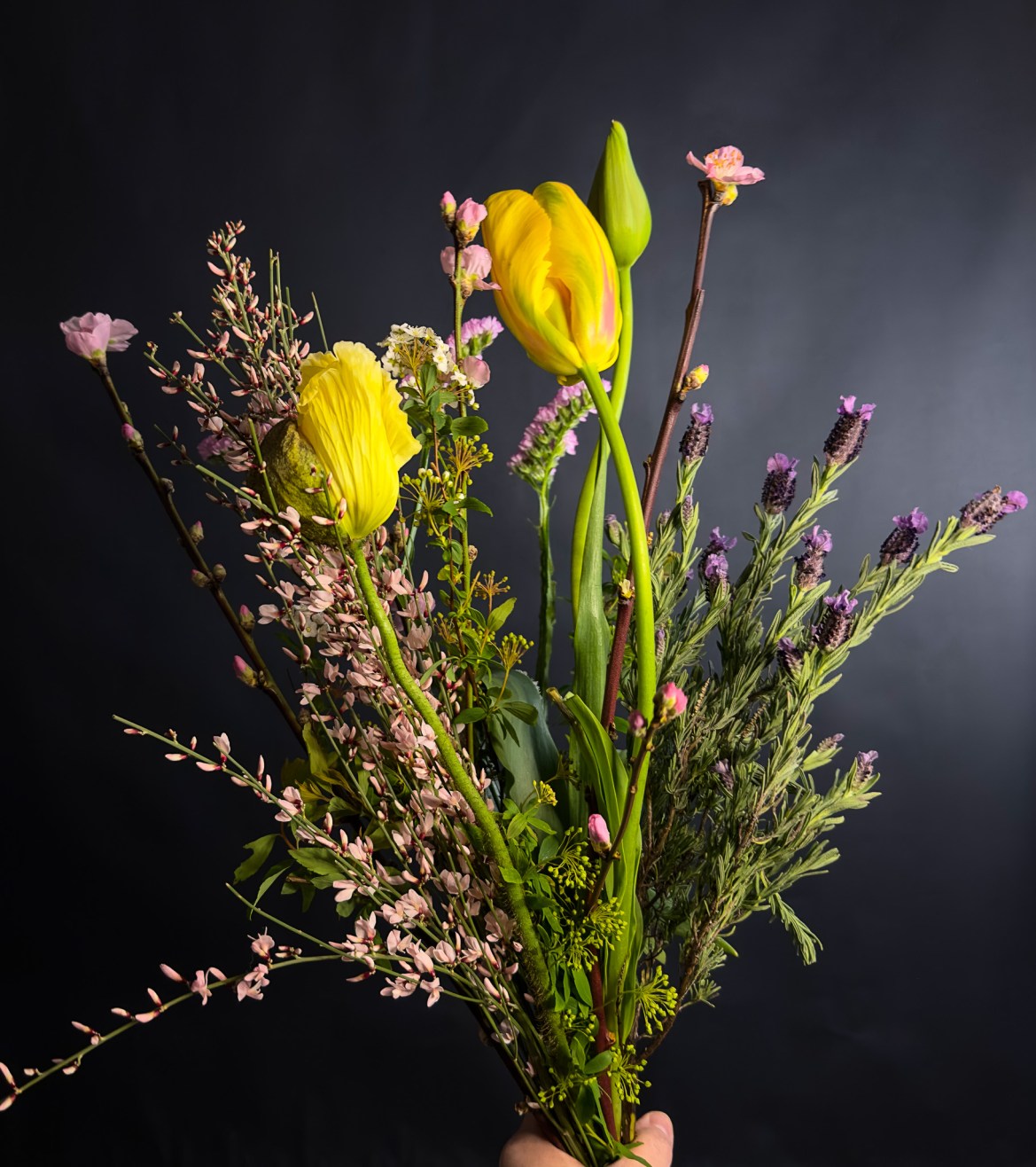 Blumengalerie-Shop-Abos-Saisonal S.jpg7